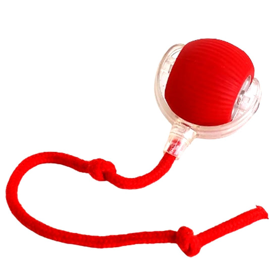 Smart Interactive Rolling Ball Toy for Cats & Dogs
