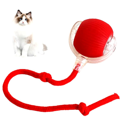 Smart Interactive Rolling Ball Toy for Cats & Dogs