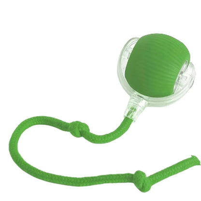 Smart Interactive Rolling Ball Toy for Cats & Dogs