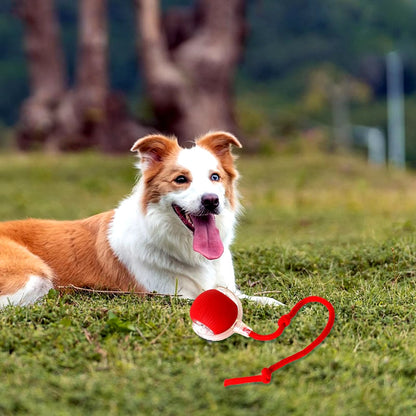 Smart Interactive Rolling Ball Toy for Cats & Dogs