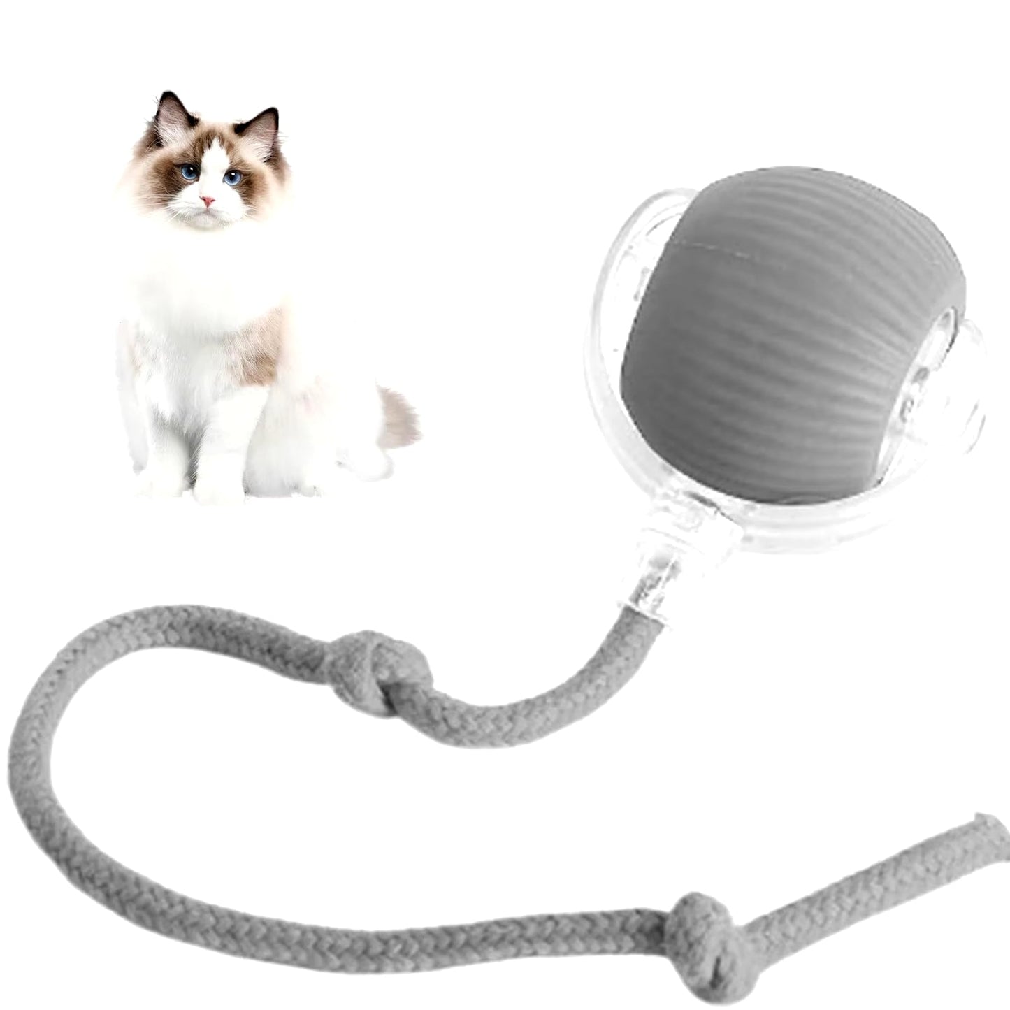 Smart Interactive Rolling Ball Toy for Cats & Dogs
